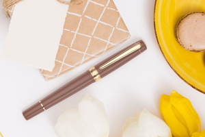 Stilouri cadou de lux: cum alegi modelul potrivit